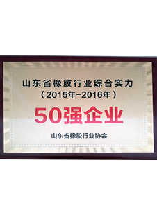 山東省橡膠行業(yè)綜合實(shí)力50強(qiáng)